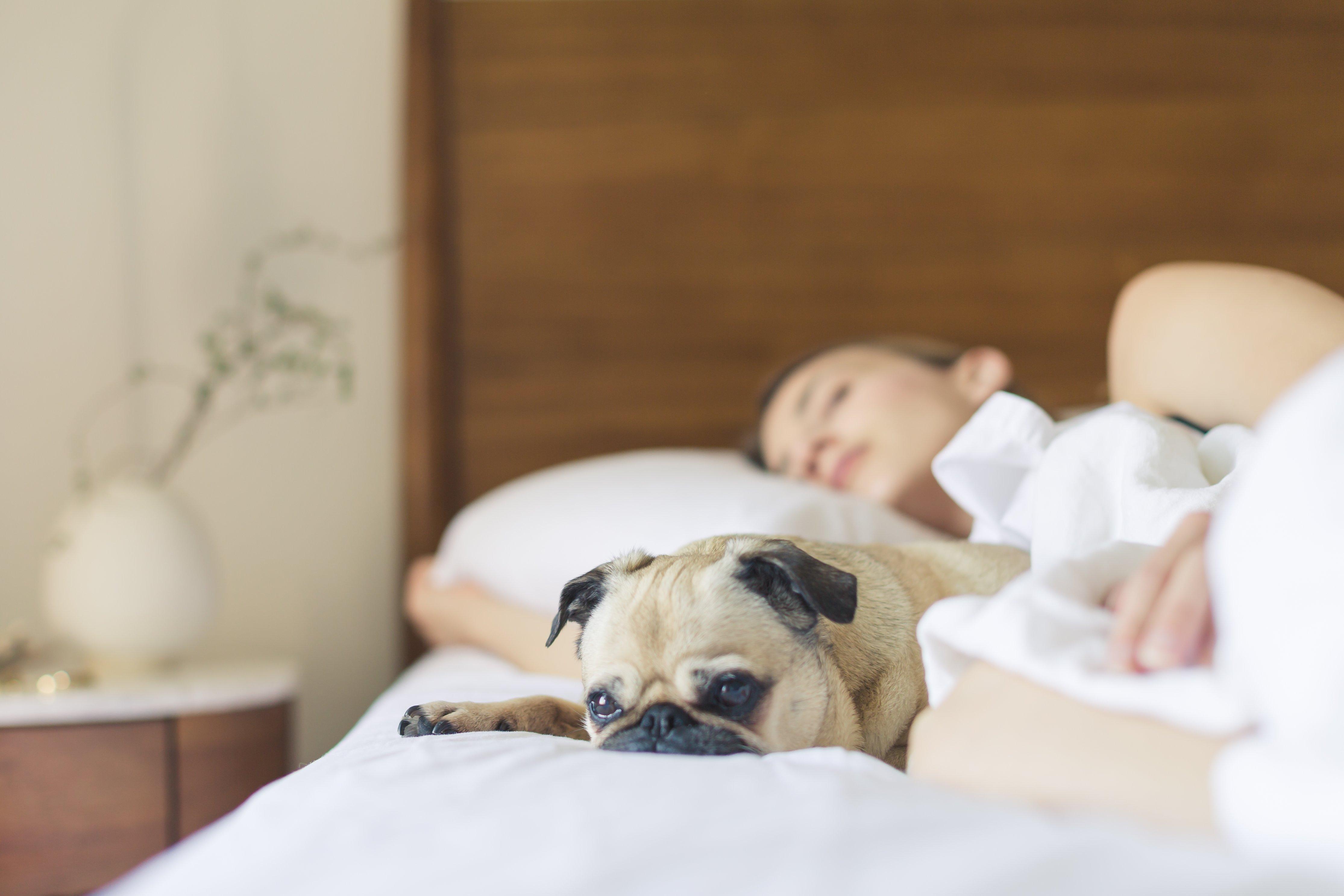 Holiday Inn Express Tucson-Airport By Ihg Εξωτερικό φωτογραφία